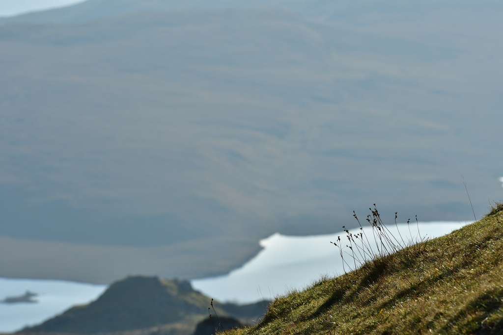 2018-11 Scotland/Old man or Storr/DSC_7480.JPG